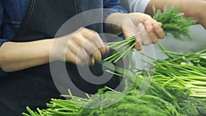 Slow motion cookers plucked dill in industrial kitchen at restaurant