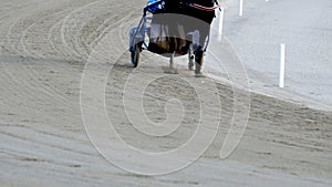 Slow motion, driver on sulky, trotting horse trot before the competition.