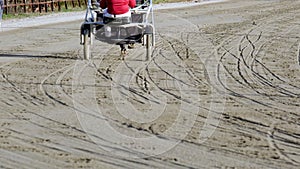 Slow motion, driver on sulky, trotting horse trot before the competition.