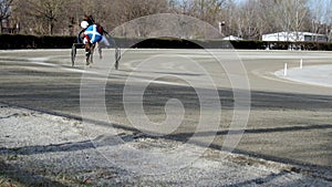 Slow motion, driver on sulky, trotting horse trot before the competition.