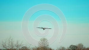 slow motion drone is flying against the backdrop of the sky. An aircraft-shaped drone is flying over the field. military