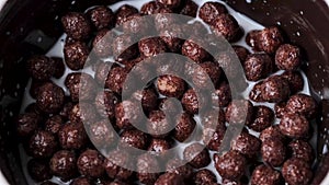 Slow motion falling chocolate cereal balls with milk.