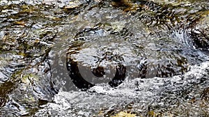 Slow-motion of flowing waterfall river, shallow water in a stream passing over dark rocks and stones Silky shiny rapid water