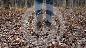 Slow motion footage of men's feet walking through fallen leaves. Men's feet in brown sneakers and blue jeans walking on
