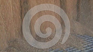 Slow motion frame of a wheat fall close-up. Harvesting wheat. Pouring wheat from a truck to a warehouse.