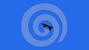 Slow motion of graduation caps thrown on the air in the studio with blue screen background