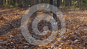 In slow motion, a man pedals his mountain bike through dry leaves in the woods. A guy on a bicycle is riding along an