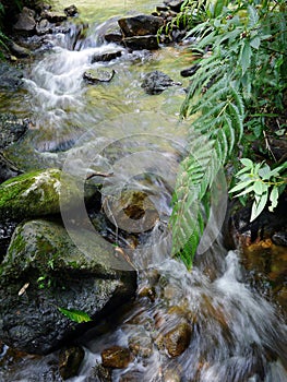 Slow motion natural cascade waterfall, tropical rainforest waterscape, long exposure shot, slope of rocks, beautiful nature for