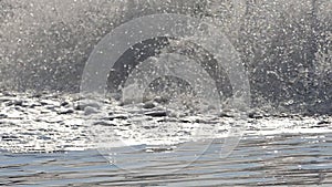 Slow motion of paddle wheels aerators in black water