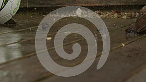 slow motion of rain pattering on wooden terrace tiles