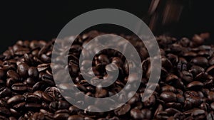 Slow motion of roasted coffee beans falling down and rotating