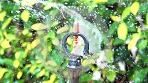Slow motion rotator sprinkler nozzle control flowing water dropping to plant on blurred green tree background.