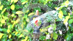 Slow motion rotator sprinkler nozzle control flowing water dropping to plant on blurred green tree background.