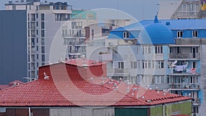 Slow motion: seagulls are flying over the roofs of old buildings in the morning