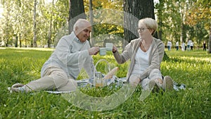 Slow motion of senior husband and wife clinking cups with drinks and talking having picnic in park