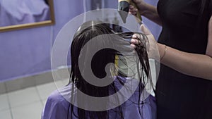 Slow-motion shooting close-up of a kitten sits in a hairdresser`s armchair, stylis dries hair with a hair dryer