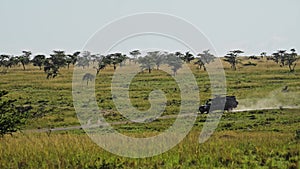 Slow Motion Shot of Four wheel drive jeep driving across the plain on dustry road track, African Wil