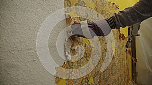 Slow-Motion shot of Hand in Glove with a Scraper removing old Wallpaper in an Apartment, preparing it for new wallpaper