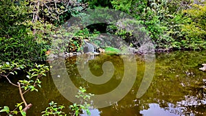 Slow motion stock video tilt up waterfall and lake