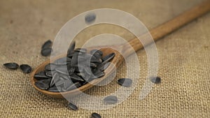 Slow motion. Sunflower seeds falling into a wooden spoon lying on a burlap. Heap of grain in a spoon