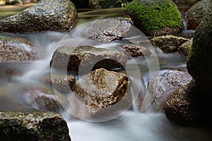 Slow motion timelapse of water running over rocks Daintree Rain Forest, Australia