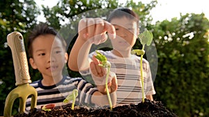 Slow motion two boy prepare soil and seedling