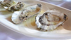 Slow motion video of opened shells of oyster on a plate in a restaurant