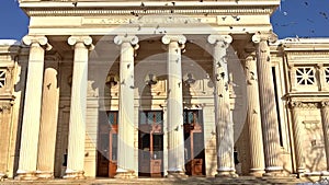 Slow Motion Video Of Pigeons In Flight Near The Romanian Athenaeum