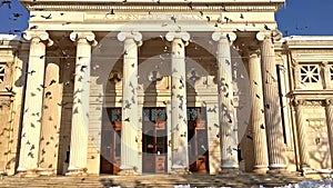 Slow Motion Video Of Pigeons In Flight Near The Romanian Athenaeum