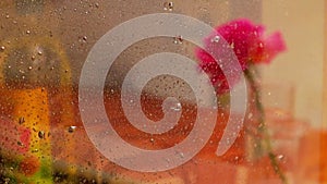 Slow motion video of a pink rose bud in a glass vase behind a wet window with raindrops on a glass. Flower arrangement