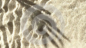 Slow motion water surface ripples and splash with palm tree leaf shadow on sand