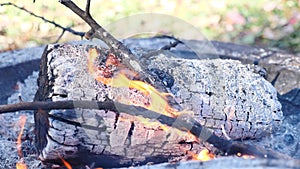Slow motion of white log turning to ash and burning in fire outside