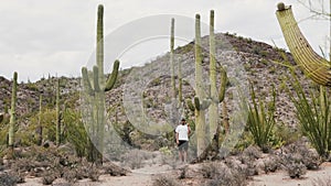 Slow motion wide shot of young happy tourist man pointing hand at giant Saguaro cactus in Arizona national park desert.
