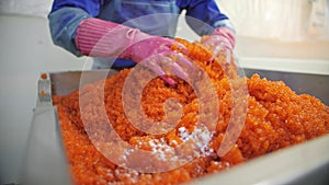 Slow motion A worker wearing gloves pours red caviar salt and mixes it up