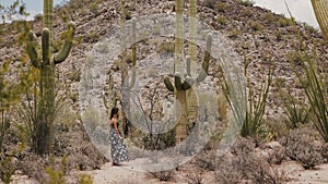 Slow motion young beautiful tourist woman looking back at camera among giant Saguaro cactus plants in Arizona desert.