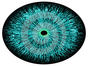 Slow movement of blue green iris in circle eye. Detail view into eye bulb. Movement of pupil.