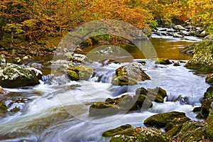 Slow Moving Creek in Fall
