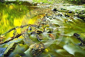 Slow moving stream in fall