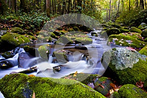 Slow moving stream in fall