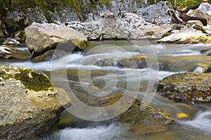 The slow moving stream in a forest decked out in fall colors