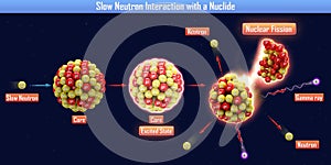 Slow Neutron Interaction with a Nuclide