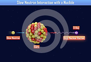 Slow Neutron Interaction with a Nuclide