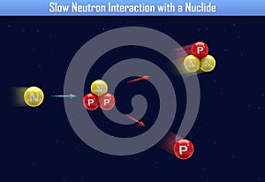 Slow Neutron Interaction with a Nuclide