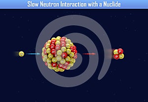 Slow Neutron Interaction with a Nuclide