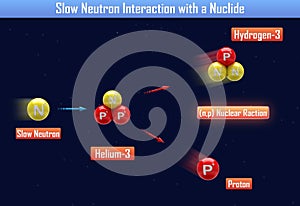 Slow Neutron Interaction with a Nuclide