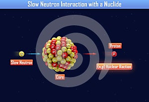 Slow Neutron Interaction with a Nuclide