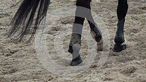 Slow pan view on the hooves of horses running through a sandy field.