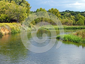 Slow River in Meadow with Trees