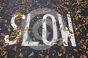 Slow road sign writted on a tarmac cycle track, road covered in Autumn leaves