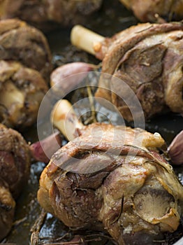 Slow Roasted Shanks of Spring Lamb